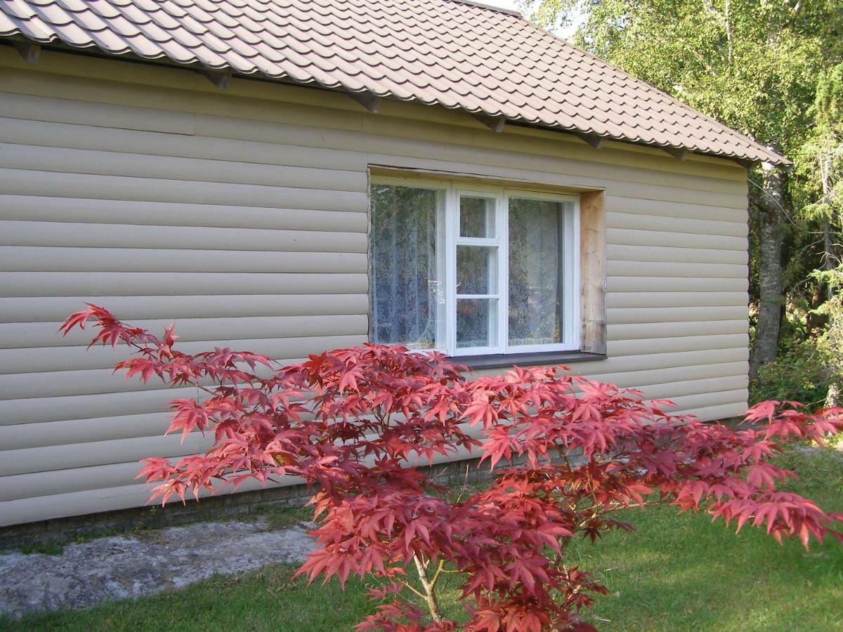 Kipi-Koovi Holiday Centre Exterior photo